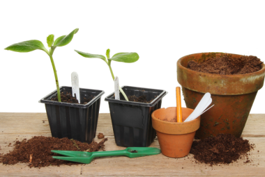 Gardening Bench, potting bench