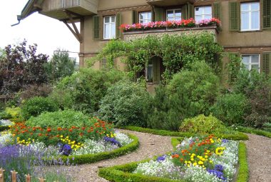 Chaos Gardening, cottage garden