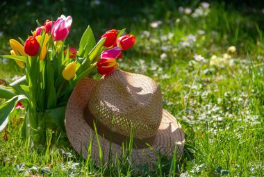 gardening hat