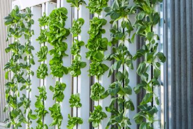 vertical hydroponic garden