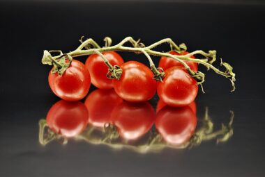 hydroponic tomatoes