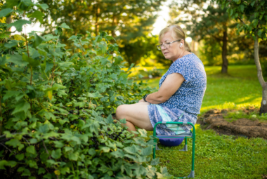 gardening stool