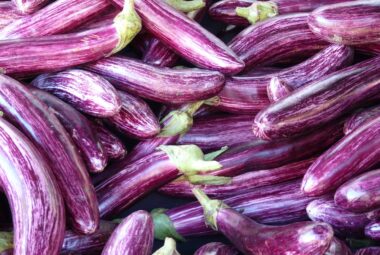 kratky eggplant