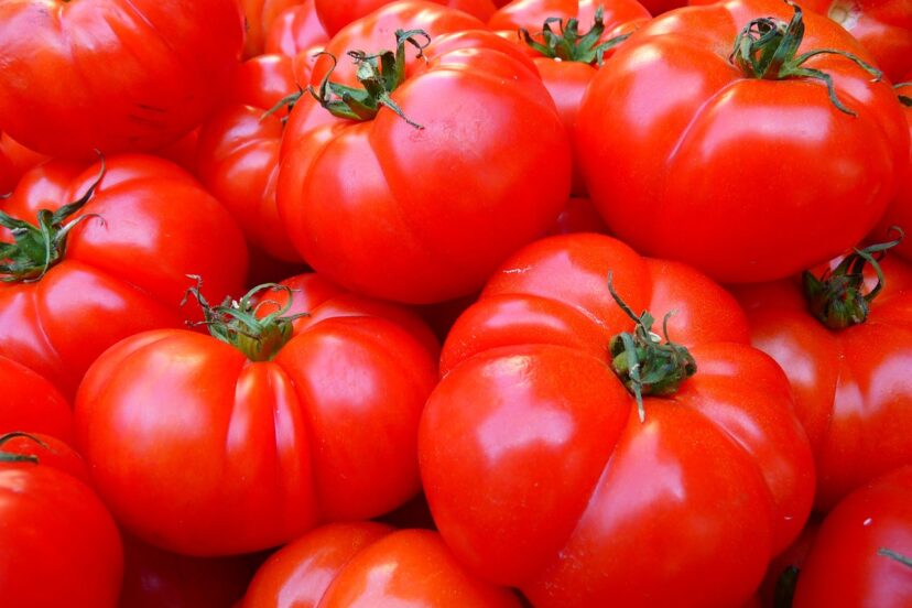 Kratky tomatoes