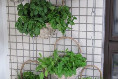 vertical herb gardens