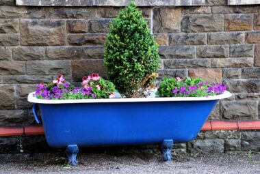 plant combinations for container gardens