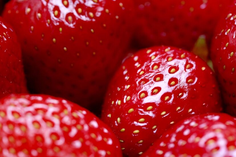 Kratky strawberries