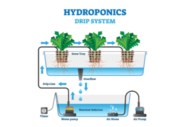 hydroponic drip system