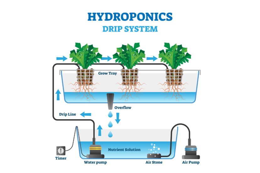 hydroponic drip system