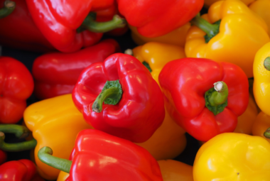 hydroponic peppers