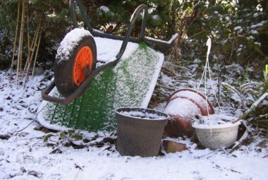 winter gardening