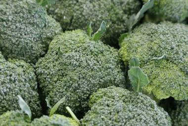 hydroponic broccoli