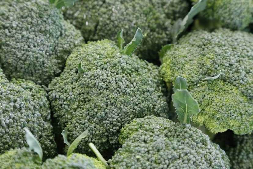 hydroponic broccoli