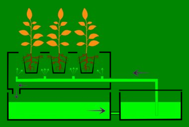 aeroponics