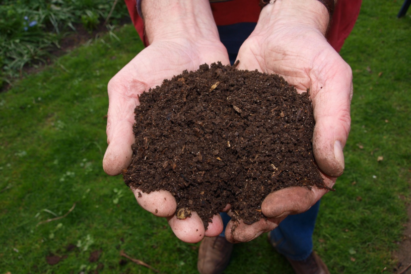 composting for gardening