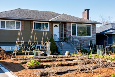 front yard vegetable gardening