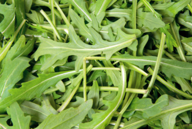 hydroponic arugula