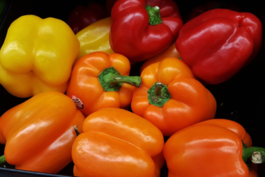 hydroponic bell peppers