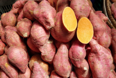 hydroponic sweet potatoes