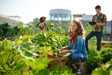 community gardening