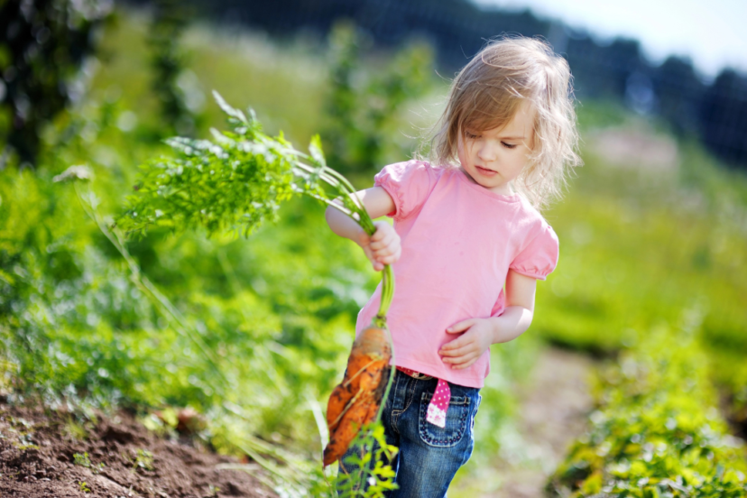 gardening activities for preschoolers