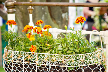 wire gardening