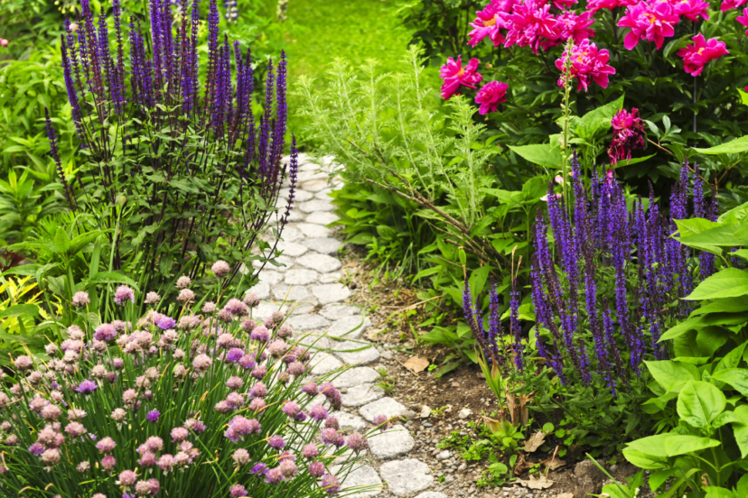 gardening pathways