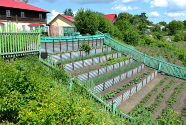 gardening on a hillside