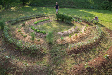 mandala gardening