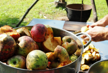 homestead gardening