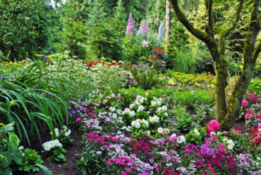 gardening in the woods