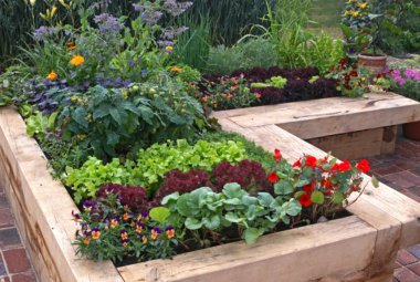 raised bed gardening for beginners