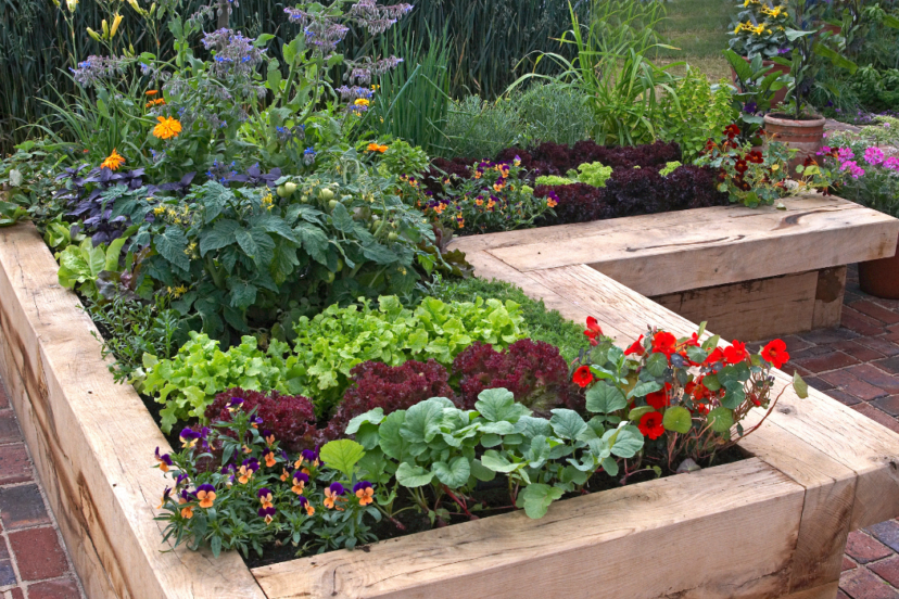 raised bed gardening for beginners