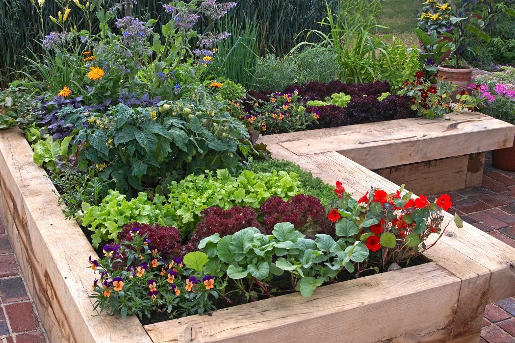 Raised Bed Gardening For Beginners: An Introduction - Gardening Maven