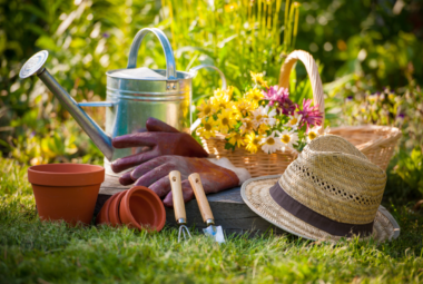 home gardening