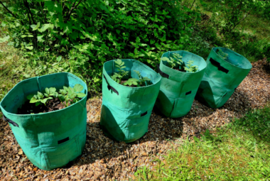 grow bag gardening