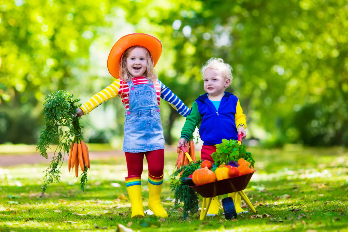 Gardening Activities for Kids: Constructive Playtime - Gardening Maven