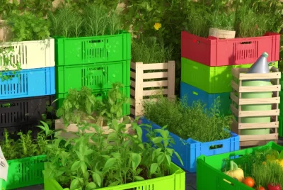 gardening in milk crates