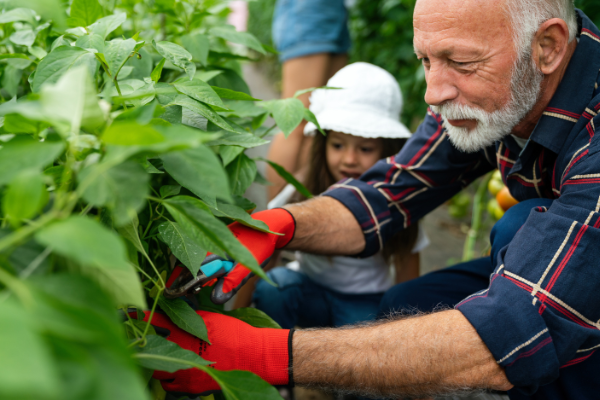 benefits of gardening for seniors